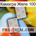 Камагра Желе 100 25